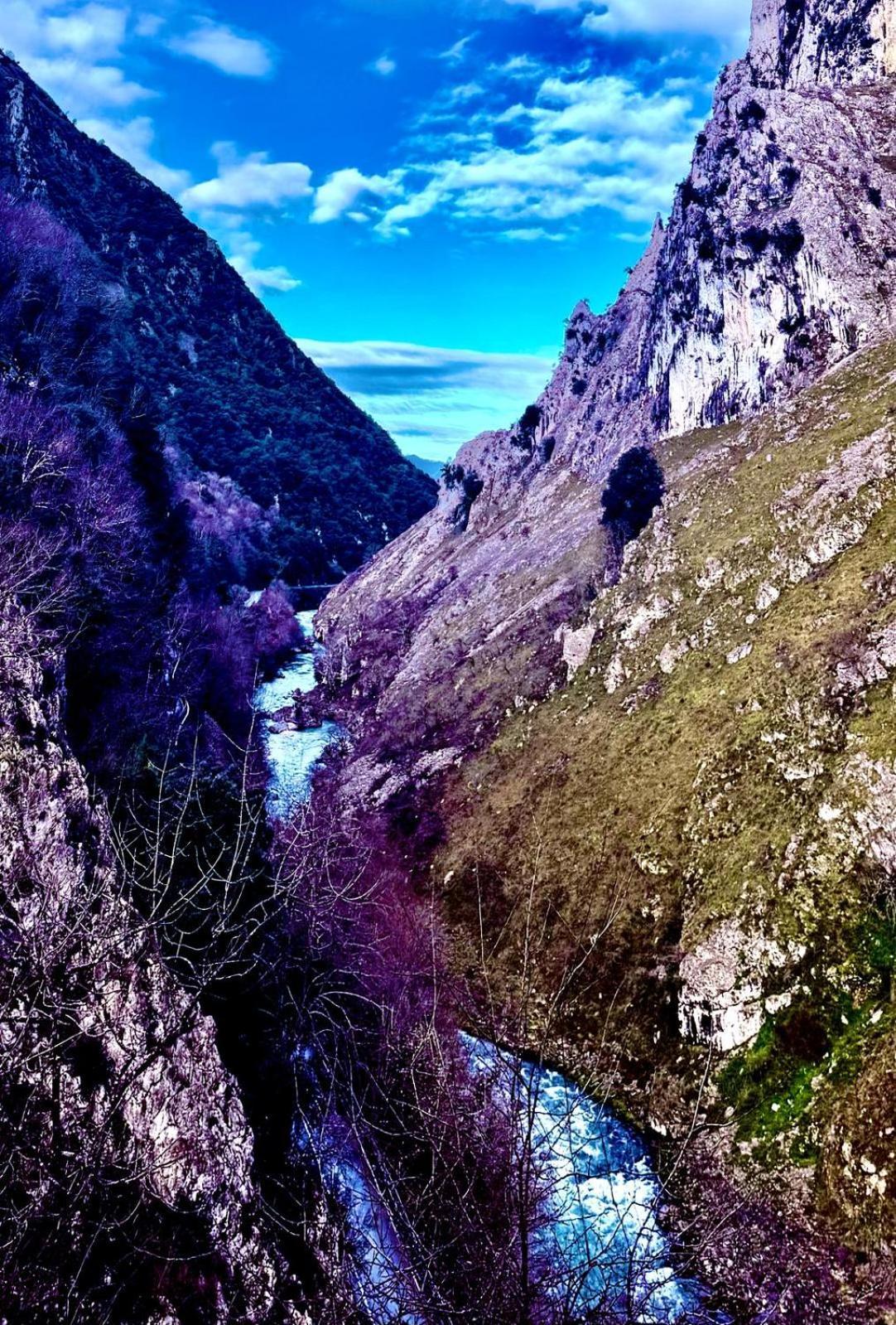 Apartamentos El Caxigu Arenas De Cabrales Εξωτερικό φωτογραφία